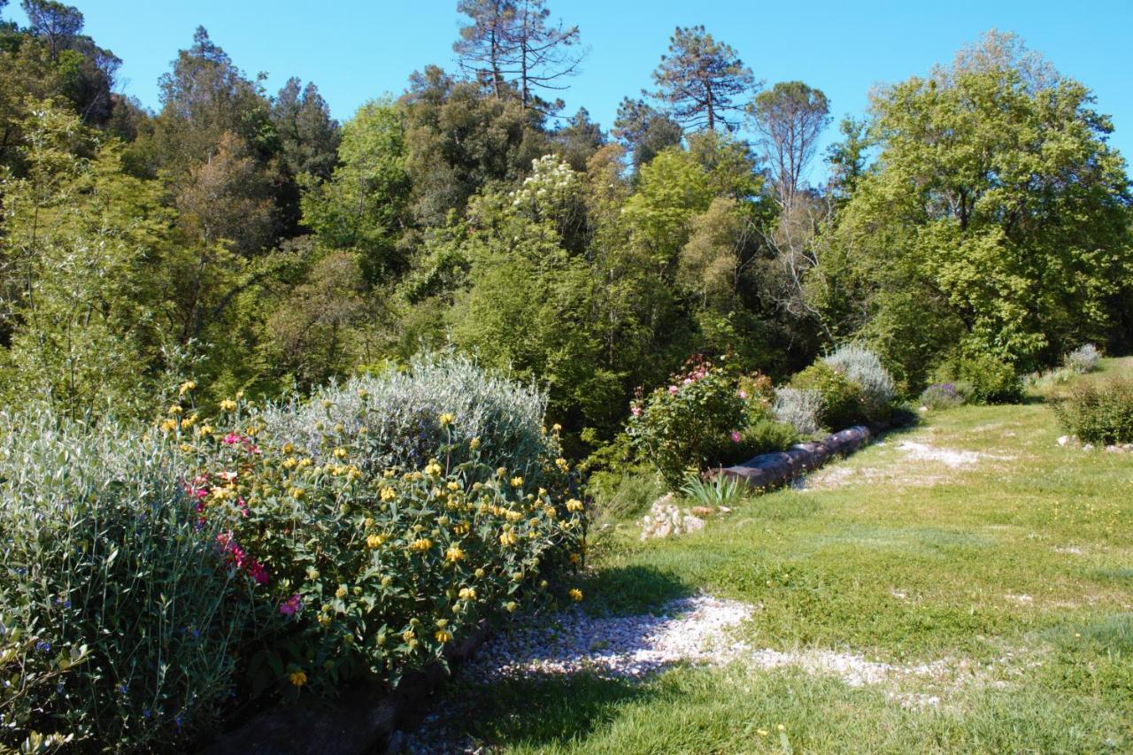 Villa Mulino Della Rivolta à Montenero  Extérieur photo