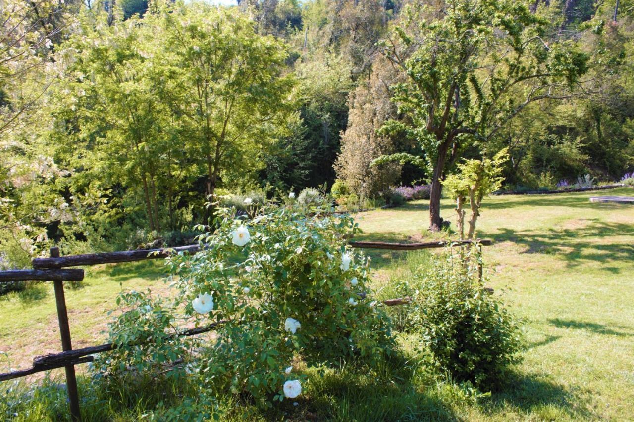 Villa Mulino Della Rivolta à Montenero  Extérieur photo