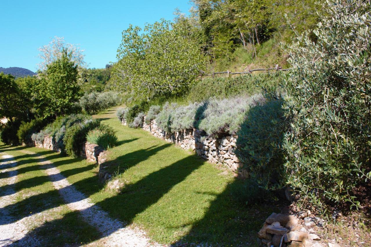 Villa Mulino Della Rivolta à Montenero  Extérieur photo
