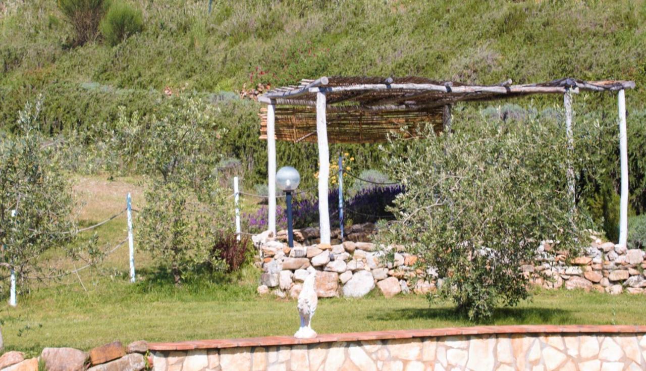 Villa Mulino Della Rivolta à Montenero  Extérieur photo