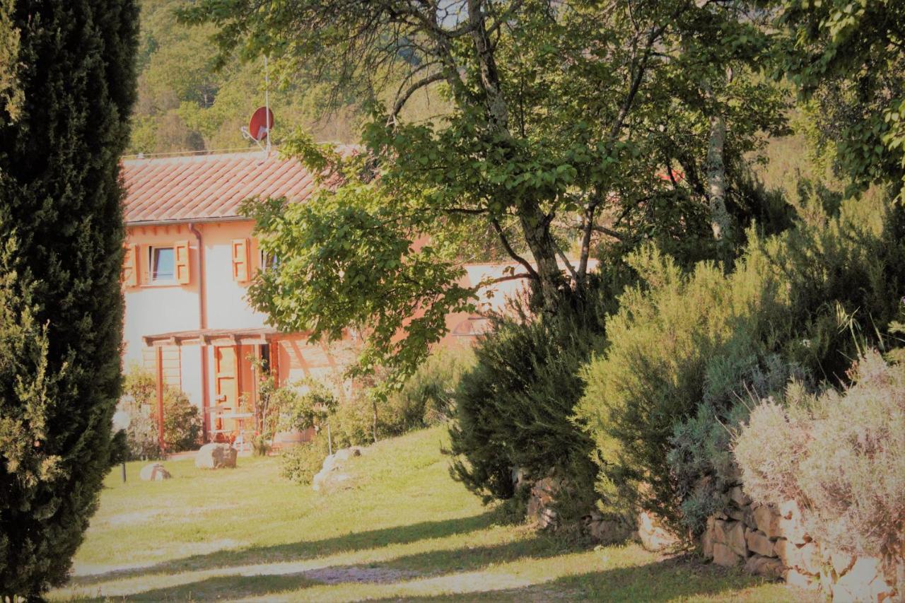 Villa Mulino Della Rivolta à Montenero  Extérieur photo
