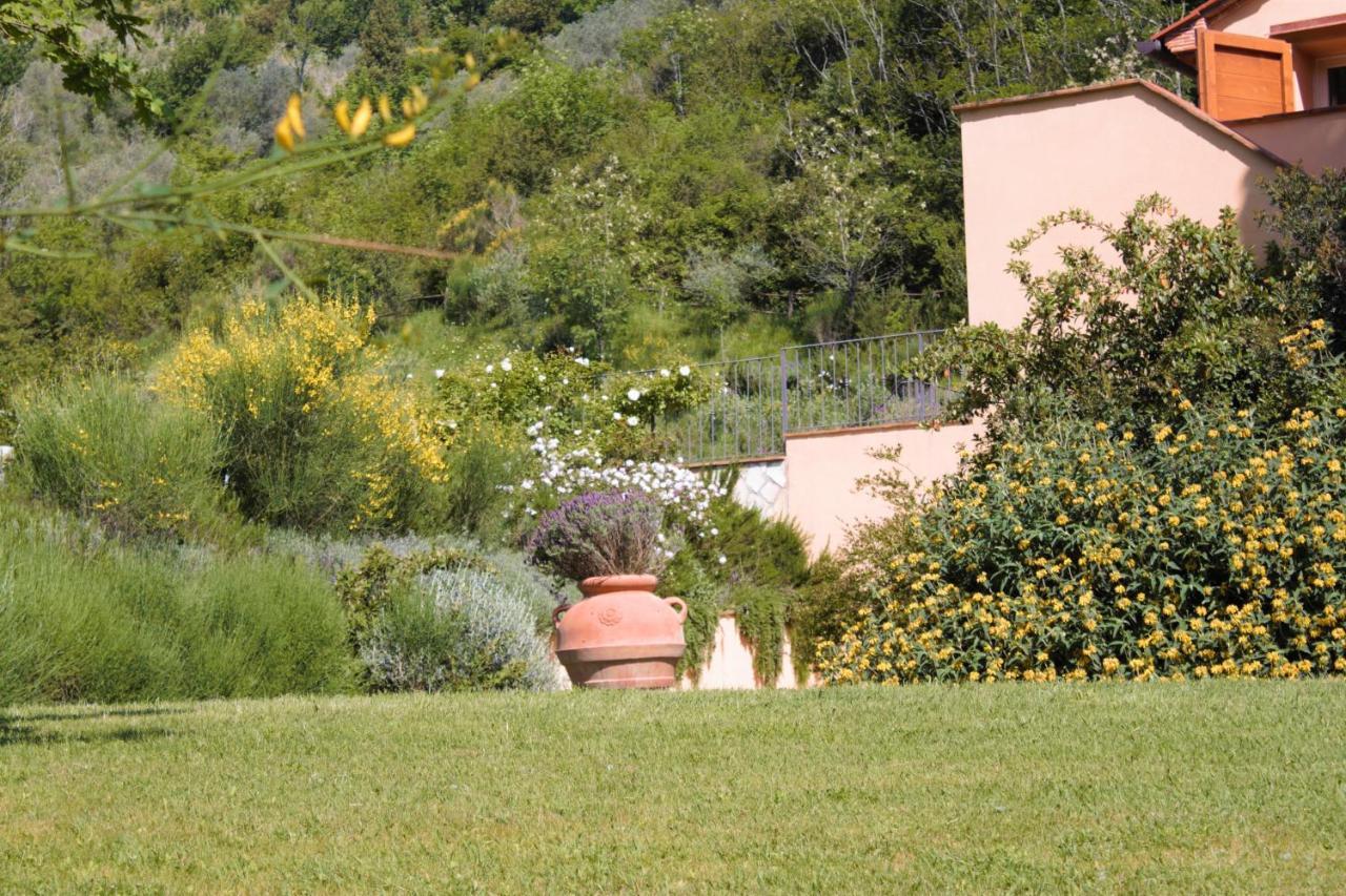 Villa Mulino Della Rivolta à Montenero  Extérieur photo