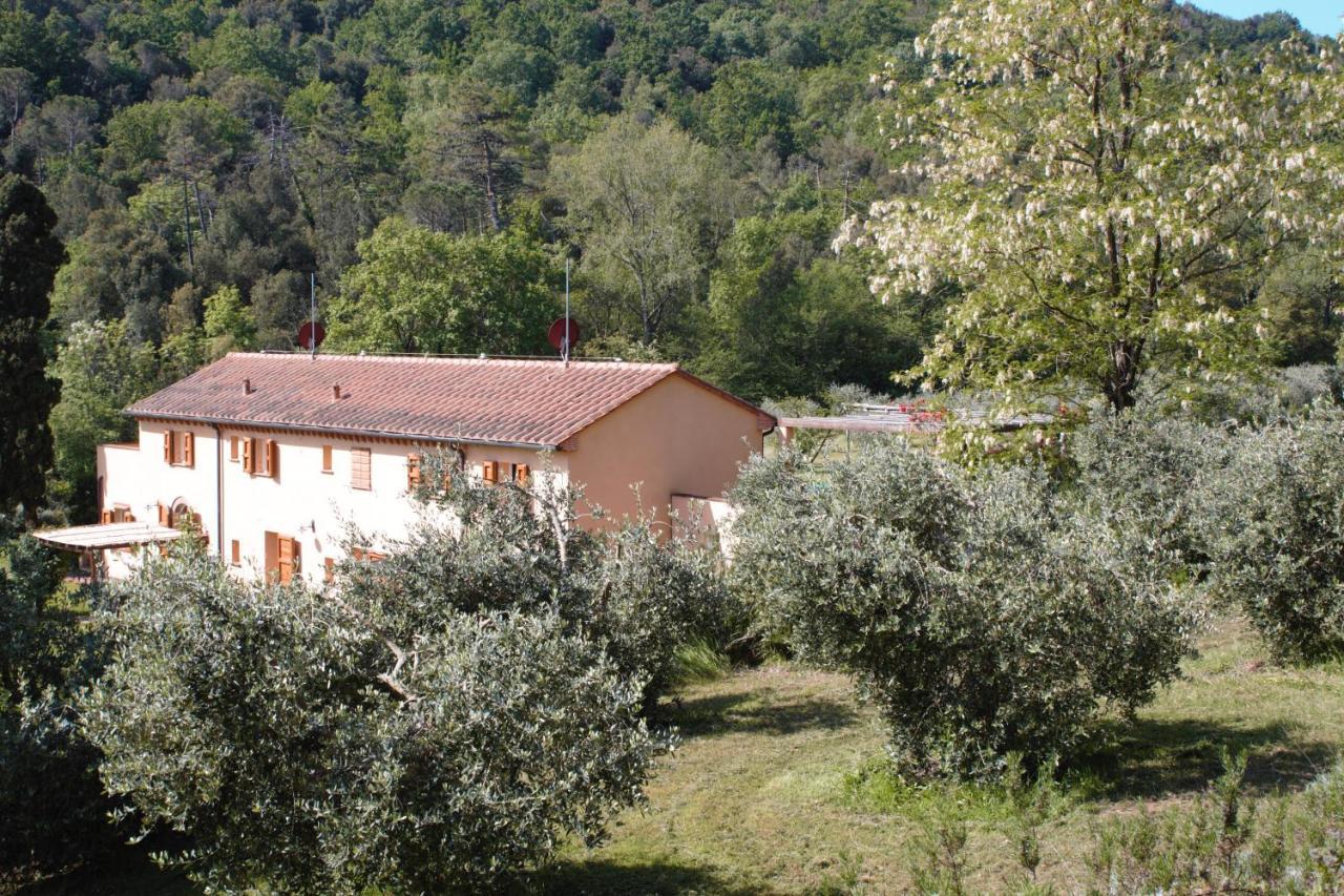 Villa Mulino Della Rivolta à Montenero  Extérieur photo