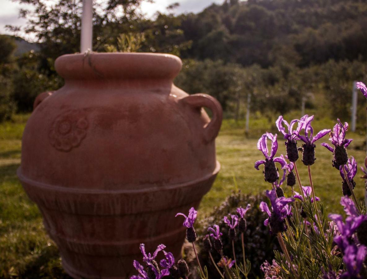 Villa Mulino Della Rivolta à Montenero  Extérieur photo